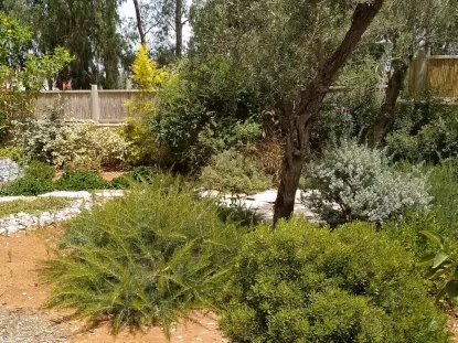 גן ים תיכוני עם נחל חלוקים לניקוז מי גשמים בחורף כרכור 3